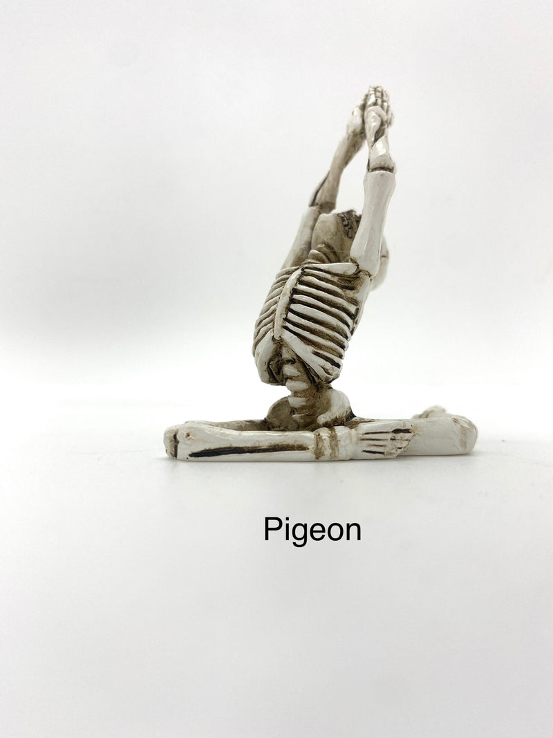 Yoga Skeletons